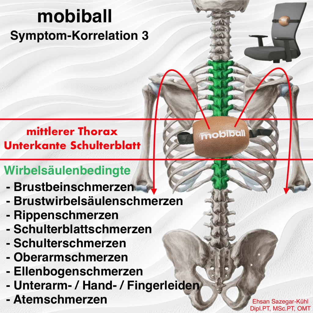 mobiball Position - mittlerer thorax | mobiball Position - mid thorax | mobiball – بخش میانی قفسه سینه ای
