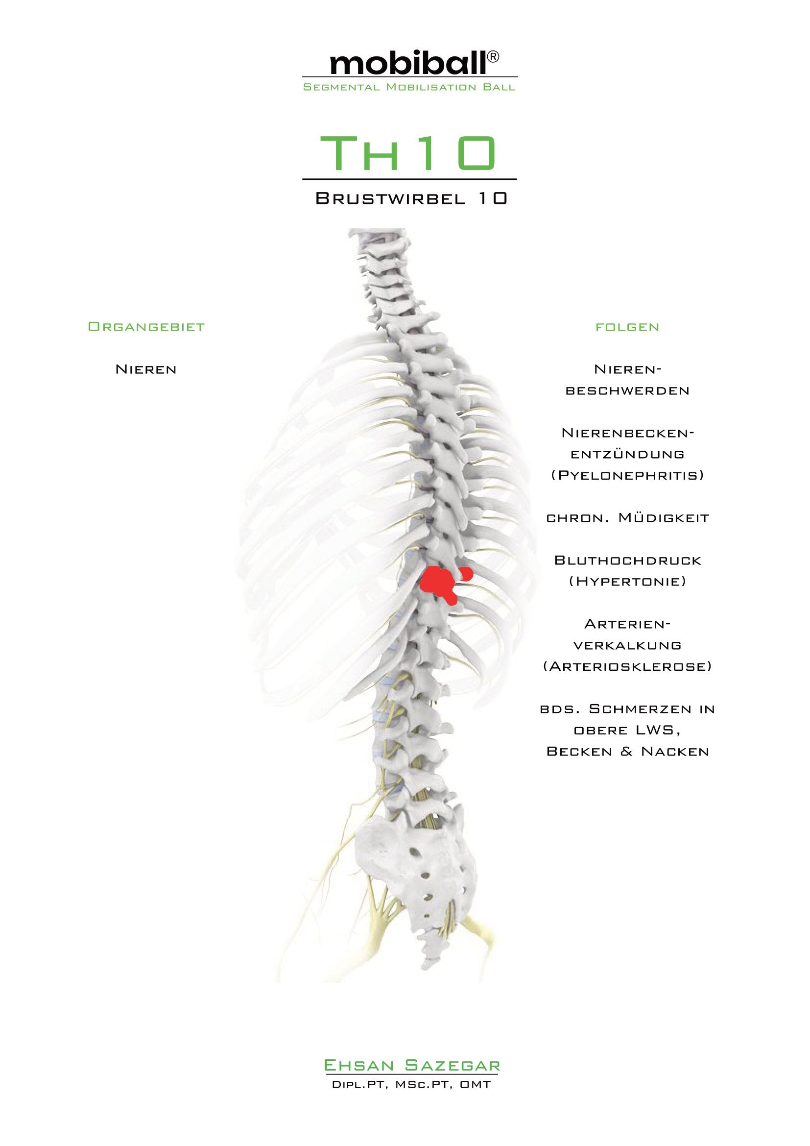 TH10 - Brustwirbel 10