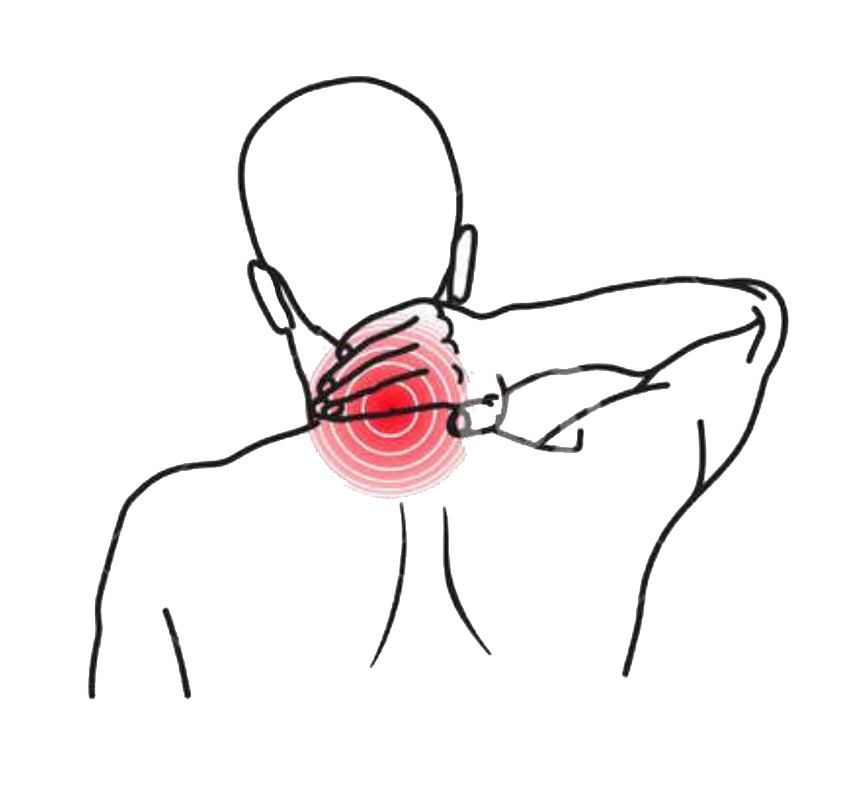 Nackenschmerz – der unterschätzte Einfluss des Herzkreislaufs! | Neck pain – the underestimated influence of the cardiovascular system! | !درد گردن – تأثیر نادیده گرفته شده سیستم قلبی عروقی