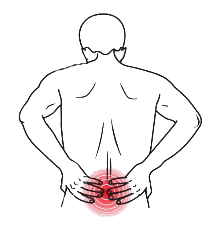 Untere Rückenschmerzen aus dem Darm oder der Blase? | Lower back pain originating from the intestines or the bladder? | کمردرد در ناحیه پایین، منشأ گرفته از روده یا مثانه؟